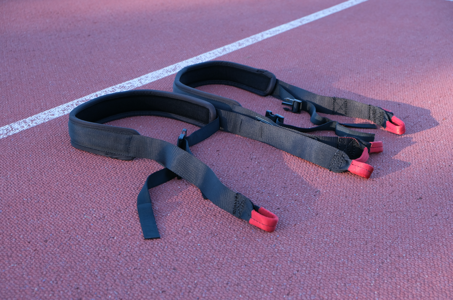 Coaches harness kit