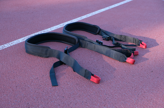Coaches harness kit